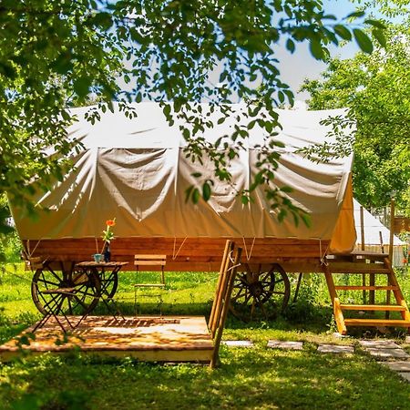 Dragonfly Gardens - The Wagons Hotel Brașov Exterior foto