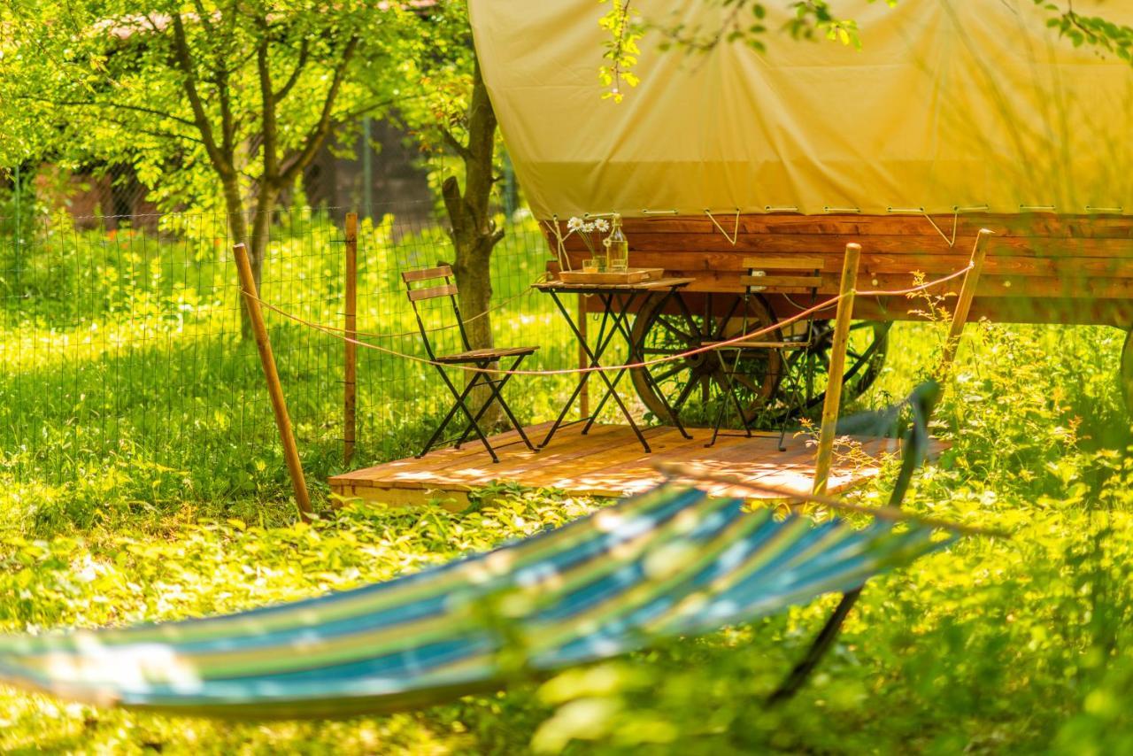 Dragonfly Gardens - The Wagons Hotel Brașov Exterior foto