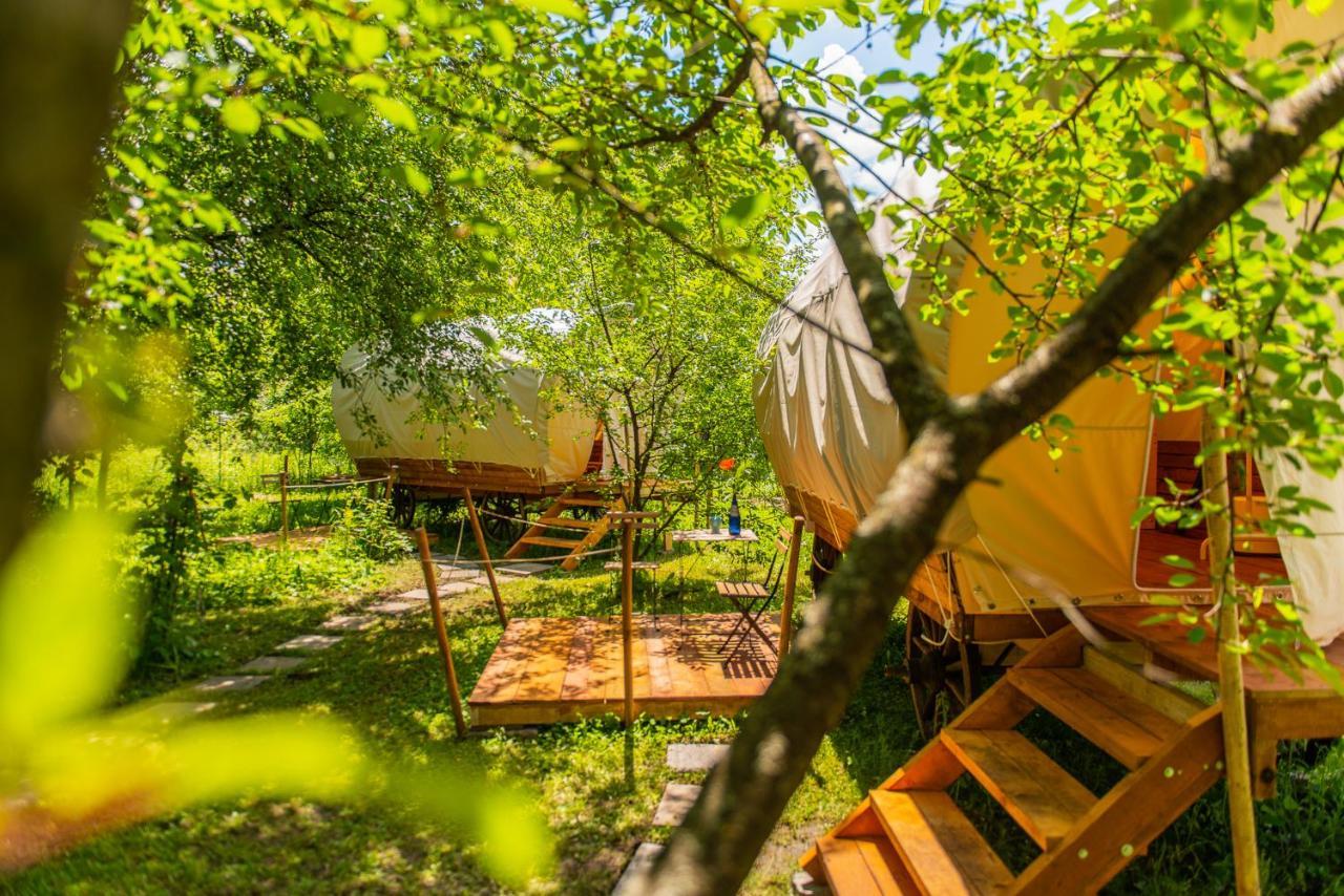 Dragonfly Gardens - The Wagons Hotel Brașov Exterior foto
