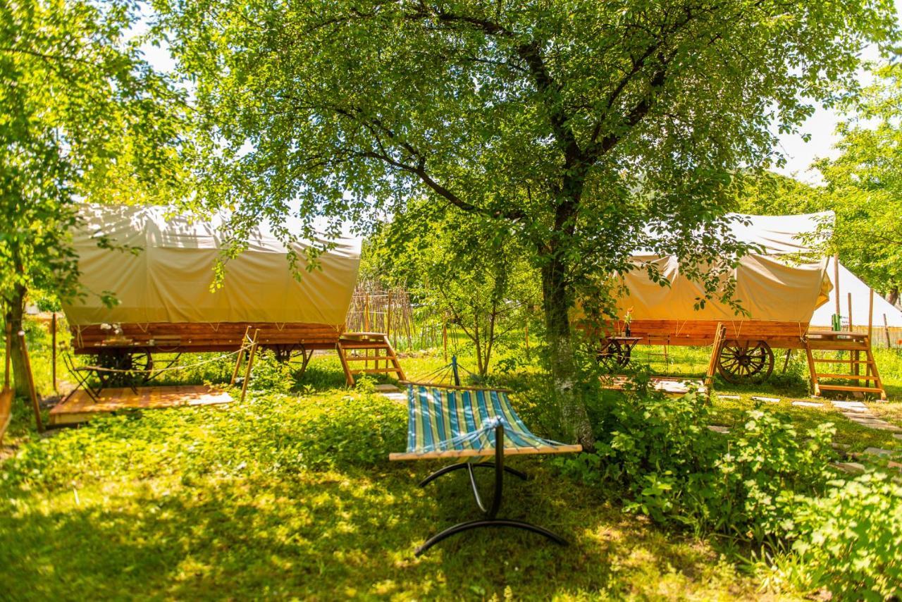 Dragonfly Gardens - The Wagons Hotel Brașov Exterior foto