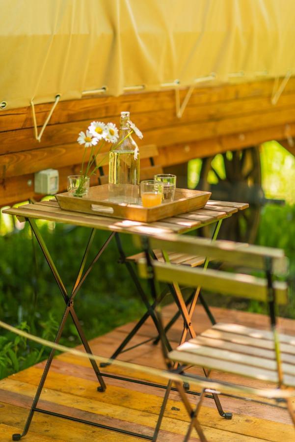 Dragonfly Gardens - The Wagons Hotel Brașov Exterior foto