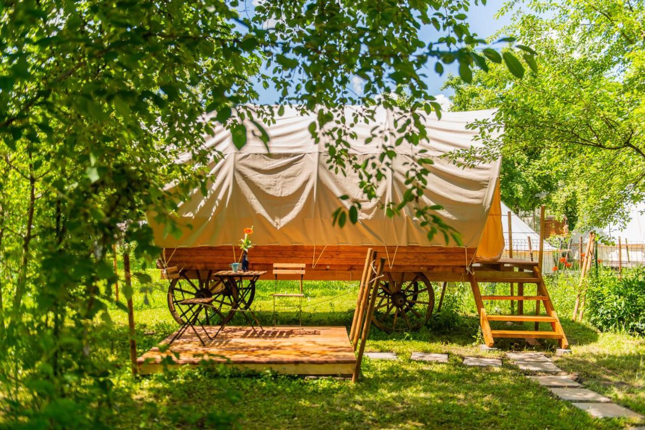 Dragonfly Gardens - The Wagons Hotel Brașov Exterior foto