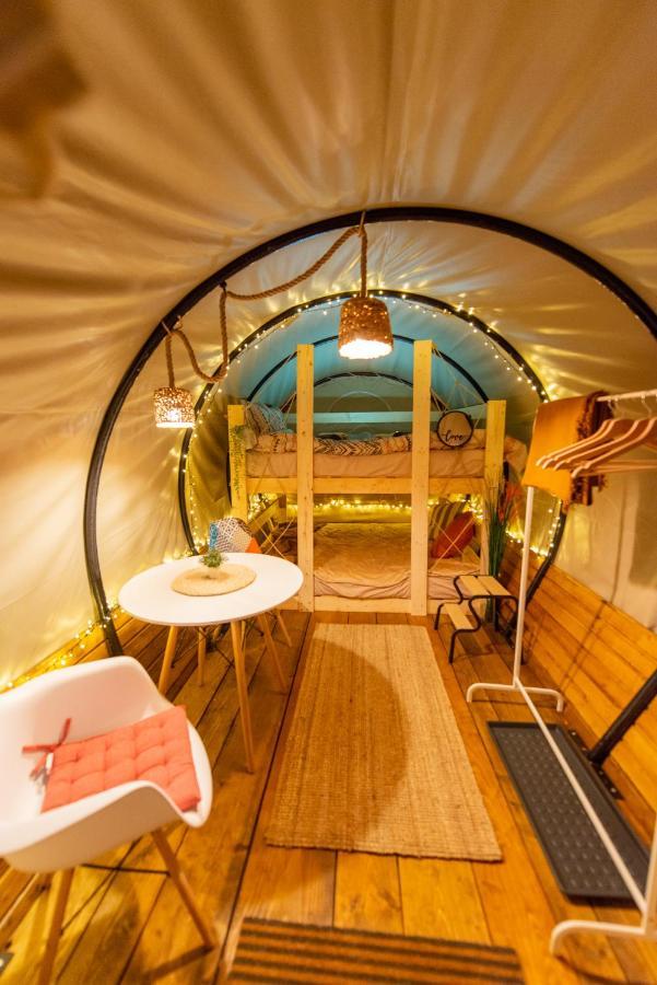 Dragonfly Gardens - The Wagons Hotel Brașov Exterior foto