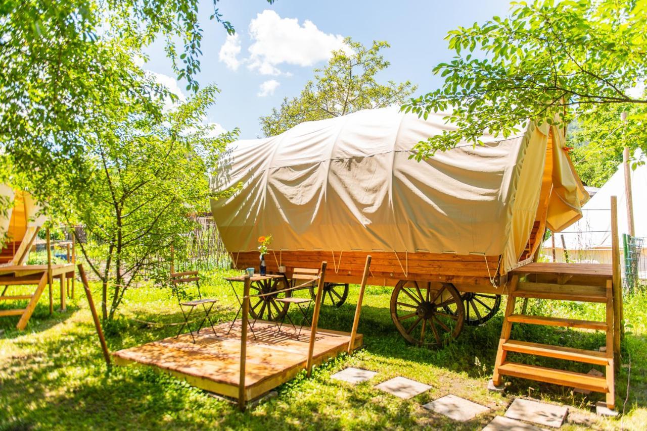 Dragonfly Gardens - The Wagons Hotel Brașov Exterior foto