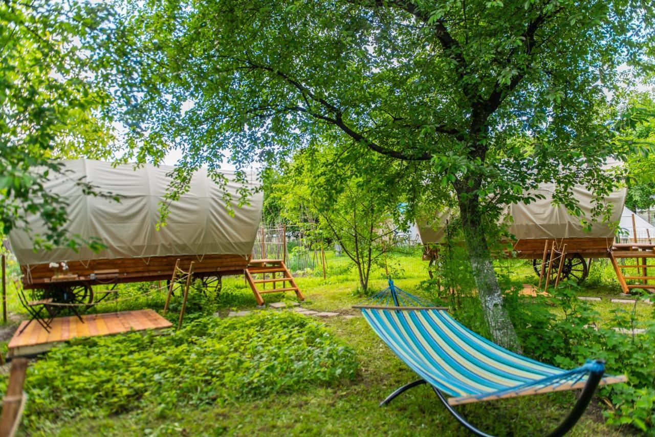 Dragonfly Gardens - The Wagons Hotel Brașov Exterior foto