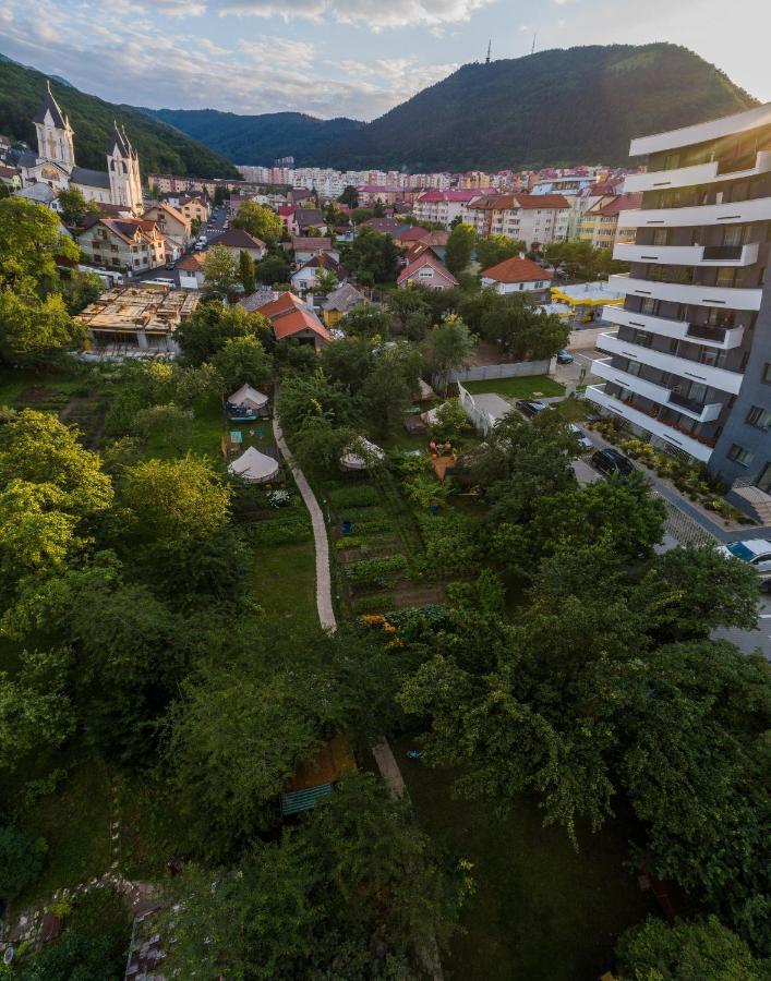 Dragonfly Gardens - The Wagons Hotel Brașov Exterior foto