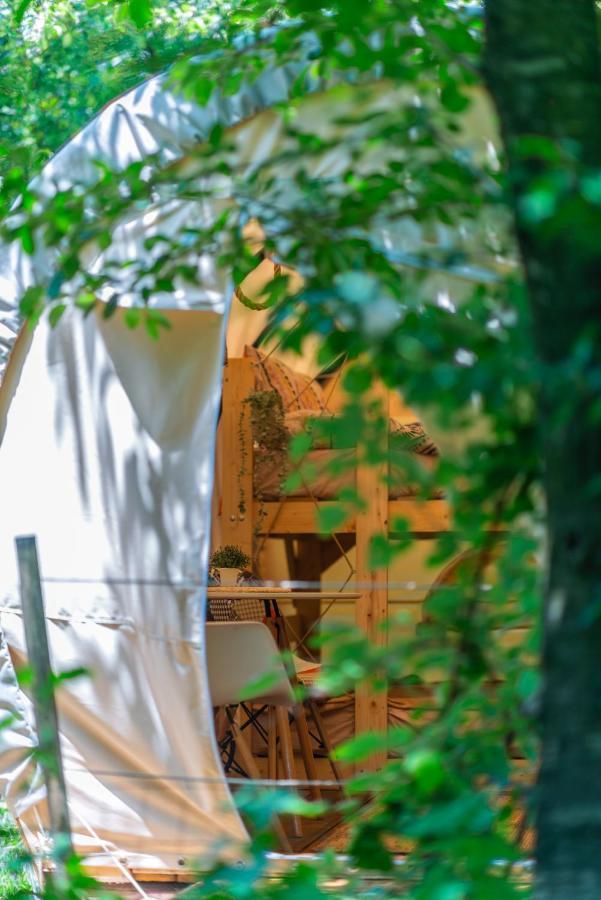 Dragonfly Gardens - The Wagons Hotel Brașov Exterior foto