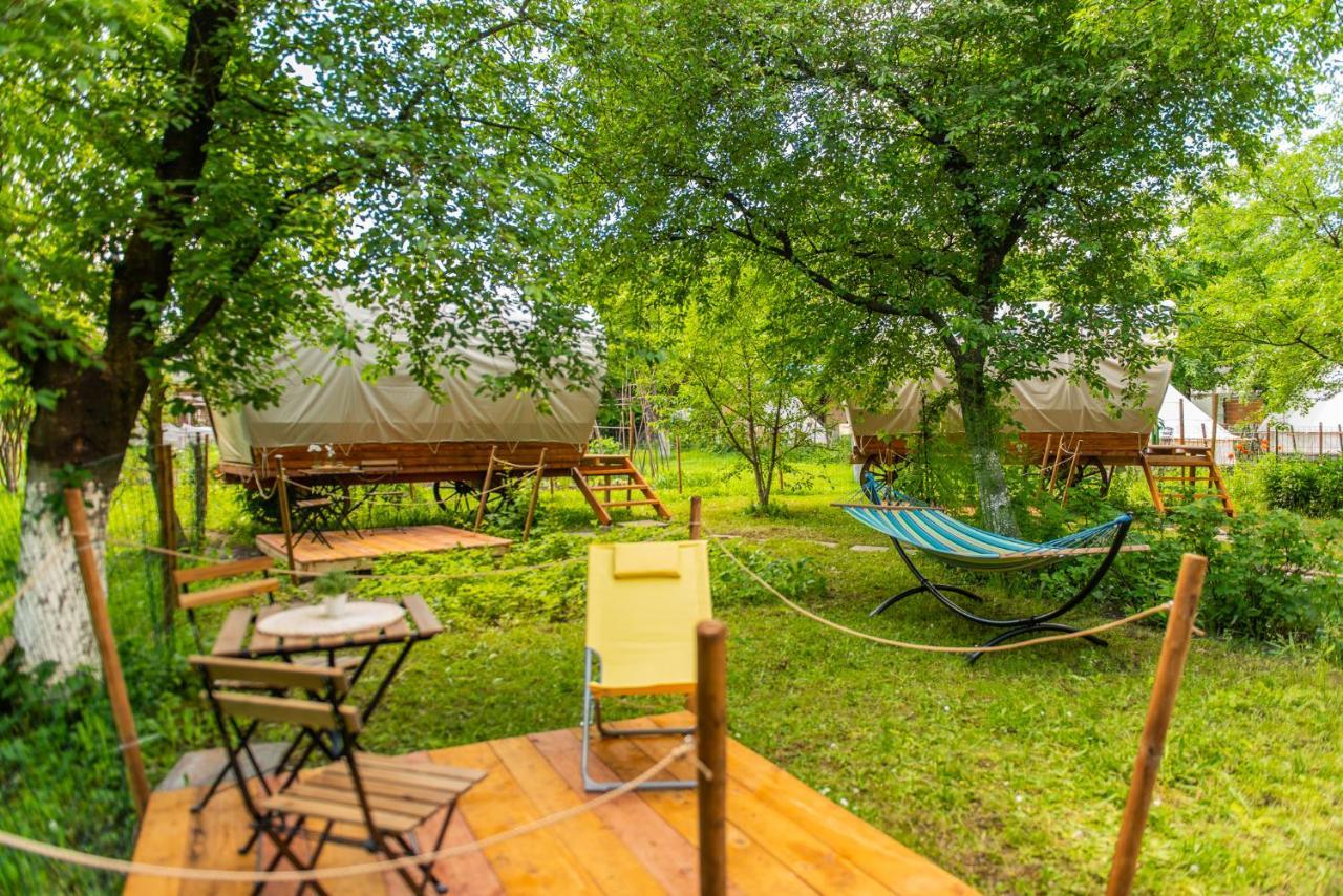 Dragonfly Gardens - The Wagons Hotel Brașov Exterior foto