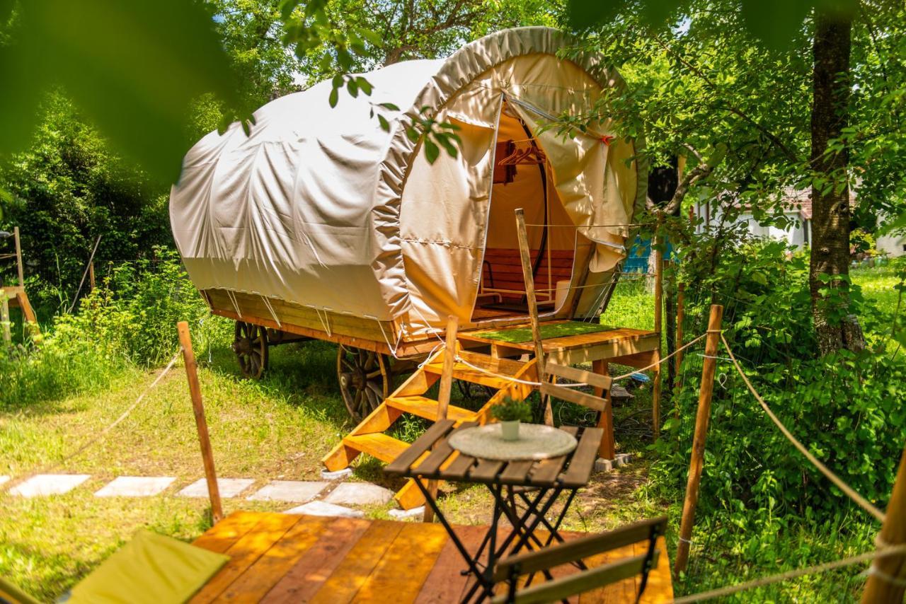 Dragonfly Gardens - The Wagons Hotel Brașov Exterior foto