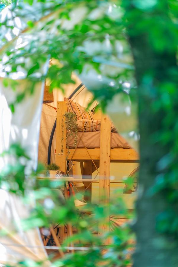 Dragonfly Gardens - The Wagons Hotel Brașov Exterior foto