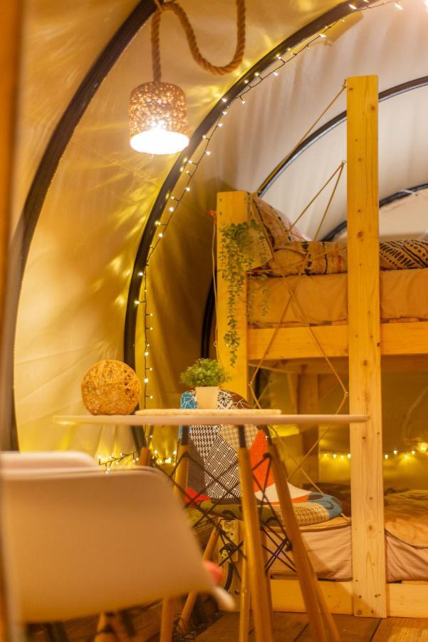 Dragonfly Gardens - The Wagons Hotel Brașov Exterior foto
