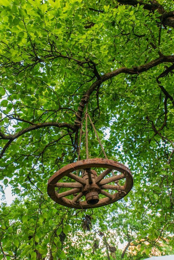 Dragonfly Gardens - The Wagons Hotel Brașov Exterior foto