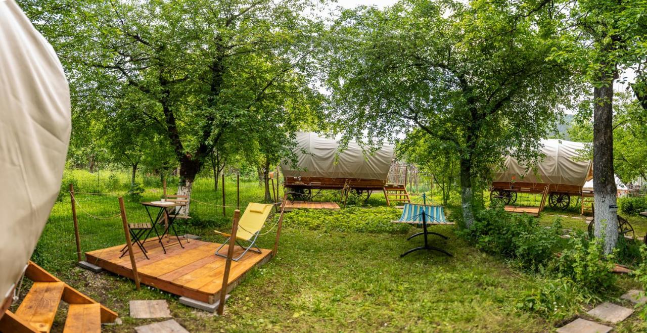 Dragonfly Gardens - The Wagons Hotel Brașov Exterior foto